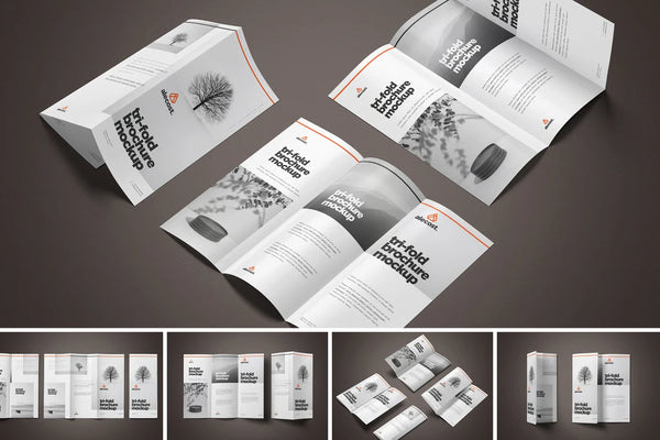 Brochure Design temp-08