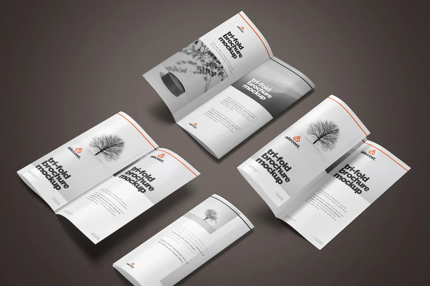 Brochure Design temp-08