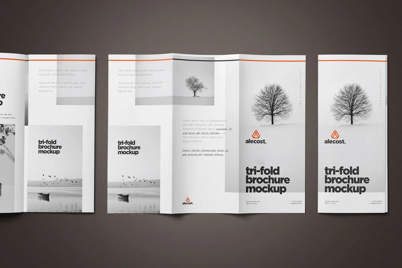 Brochure Design temp-08