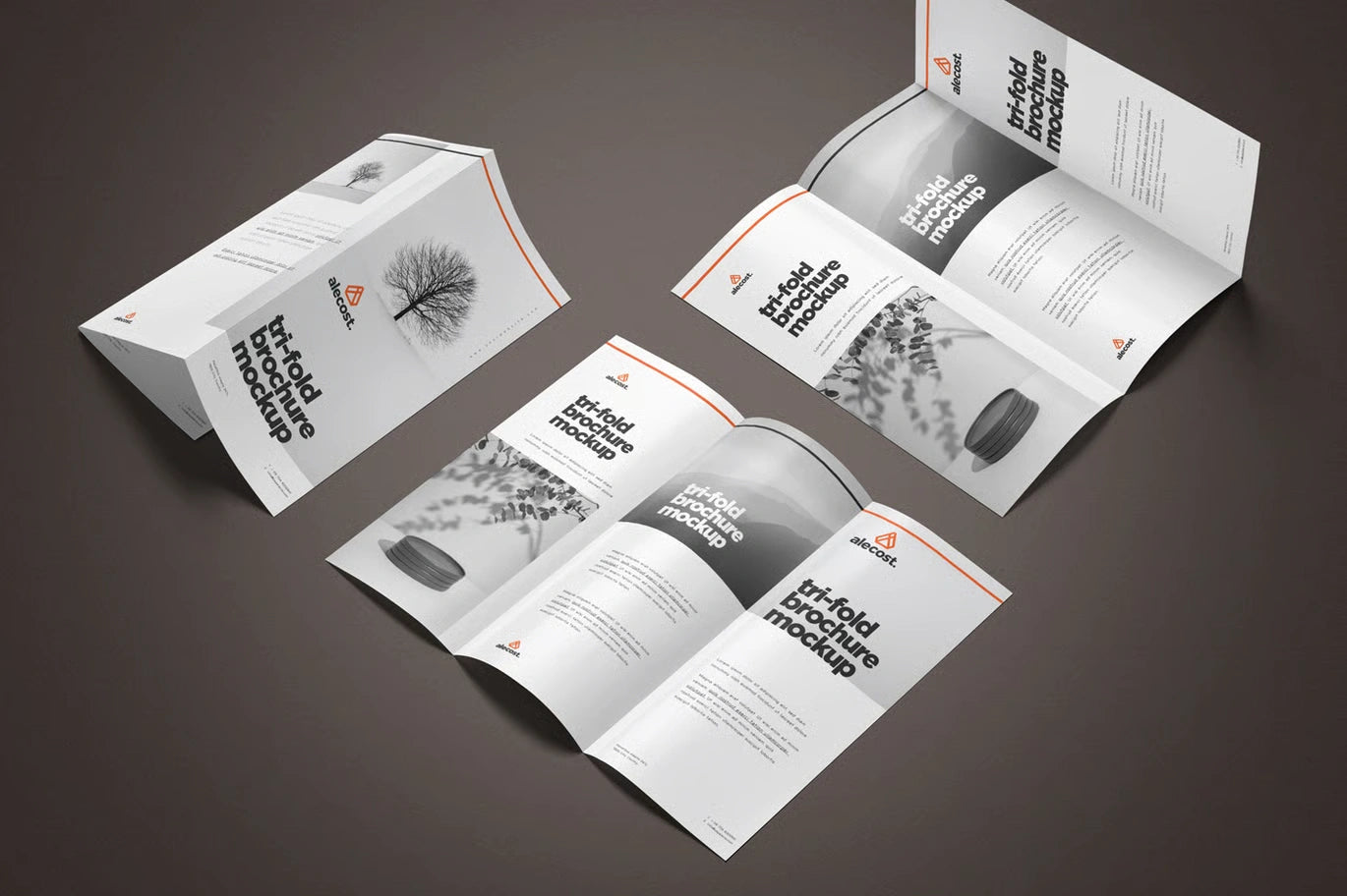 Brochure Design temp-08