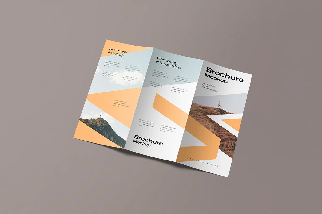 Brochure Design temp-09