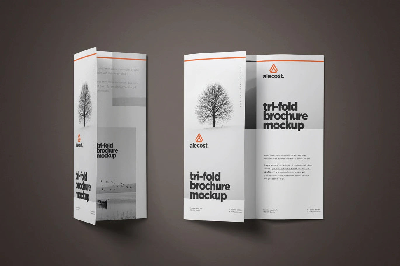 Brochure Design temp-08