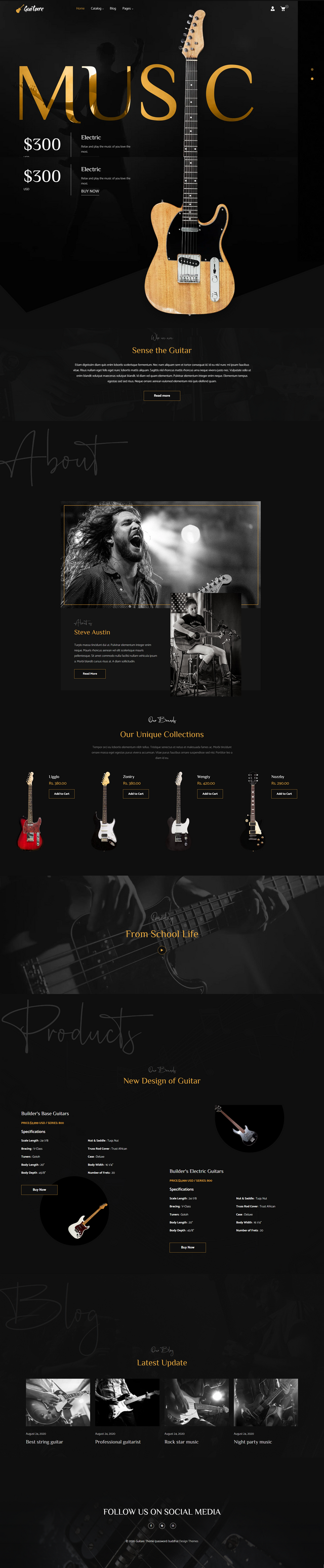 Guitare - Instruments, Music Store