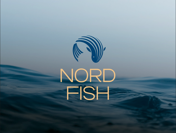 Branding Design temp-02