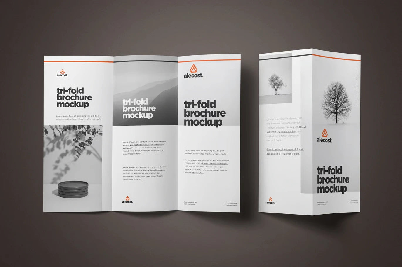 Brochure Design temp-08
